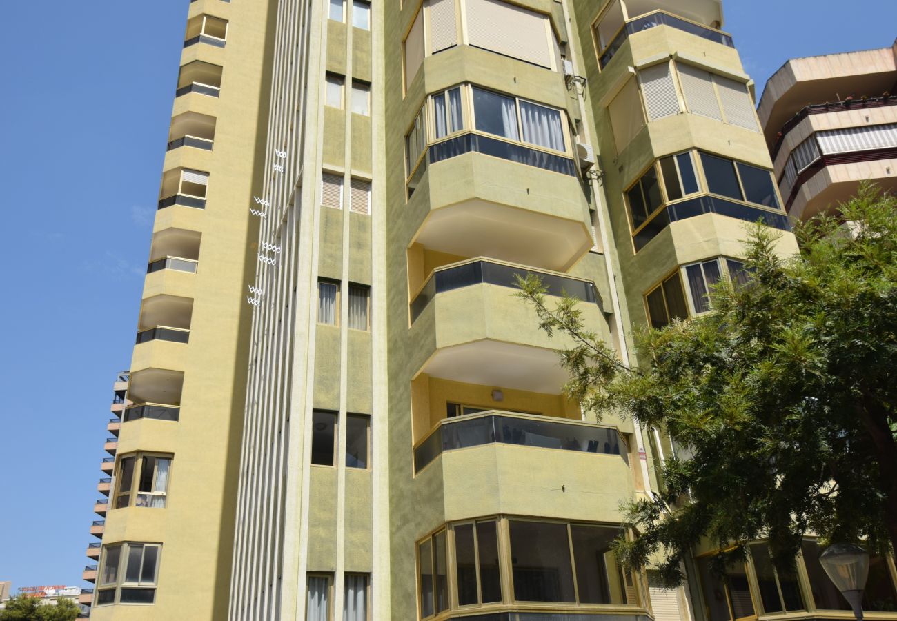 Appartement in Benidorm - TORRE GERONA ( 2 SLAAPKAMER) - 5 PAX