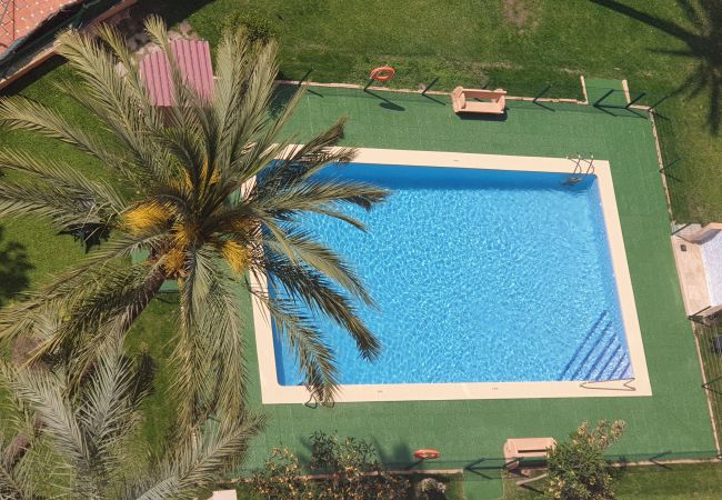 Appartement à Benidorm - ALHAMBRA (1Chambre)