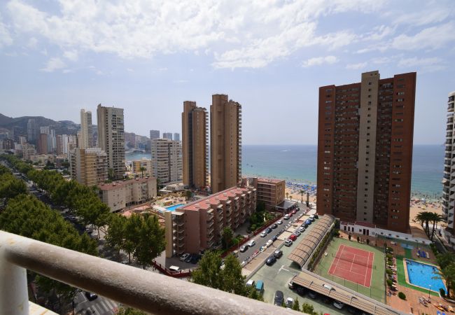  à Benidorm - LOS CABALLOS (APPARTEMENT AVEC 1 CHAMBRE)