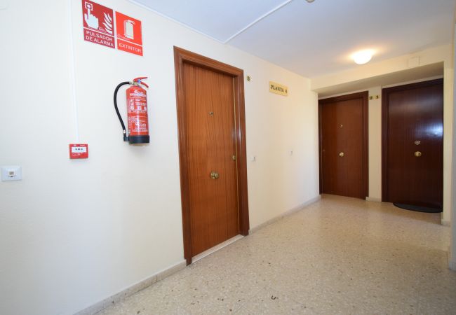 Studio à Benidorm - MIRAMAR PLAYA (STUDIO) Studio à Benidorm - MIRAMAR PLAYA (STUDIO)