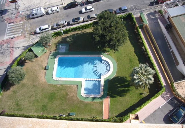 Appartement à Benidorm - ISLANDIA (1 CHAMBRE) Appartement à Benidorm - ISLANDIA (1 CHAMBRE)