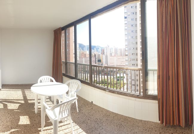  à Benidorm - ISLANDIA (1 CHAMBRE)