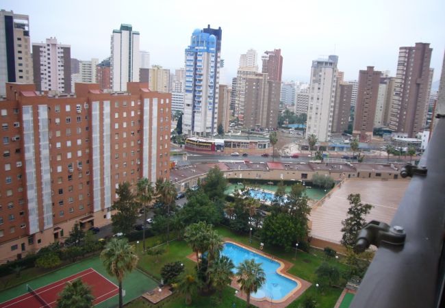 Appartement à Benidorm - GEMELOS 12 (1 CHAMBRE) Appartement à Benidorm - GEMELOS 12 (1 CHAMBRE)