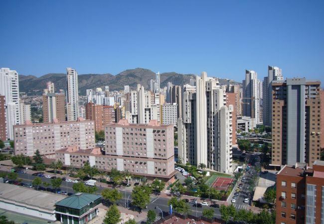 Appartement à Benidorm - GEMELOS 12 (1 CHAMBRE)