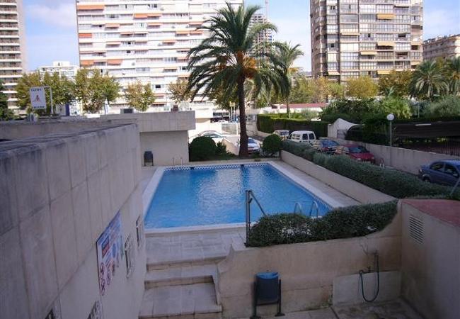 Appartement à Benidorm - TORRE LEVANTE (1 CHAMBRE)