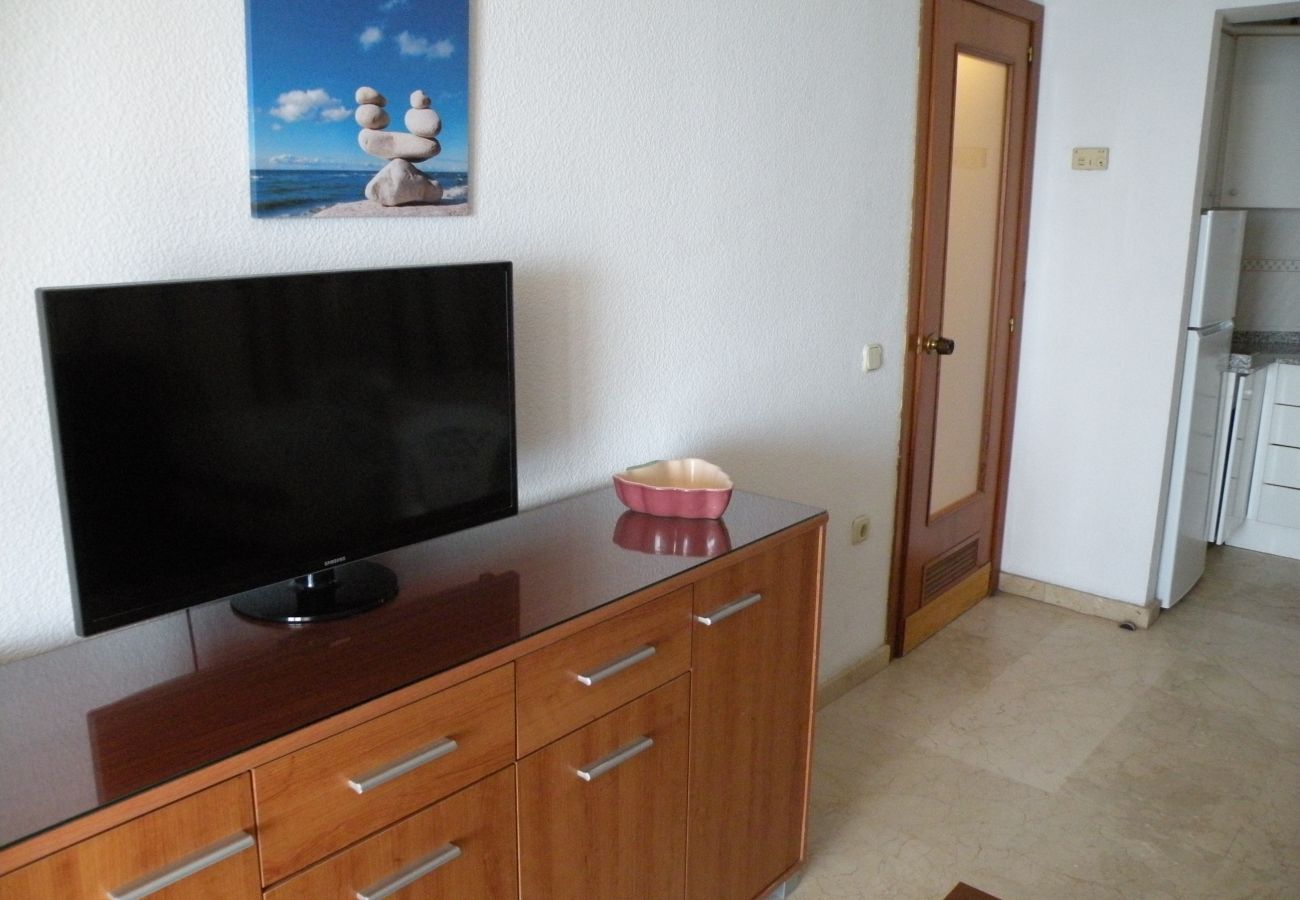 Appartement à Benidorm - TORRE LEVANTE (1 CHAMBRE)