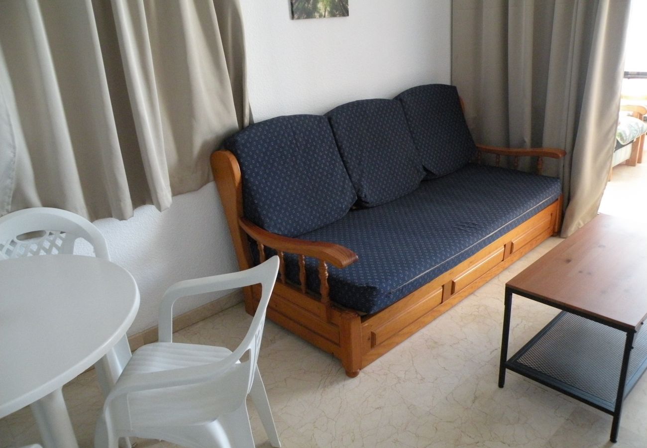 Appartement à Benidorm - TORRE LEVANTE (1 CHAMBRE)