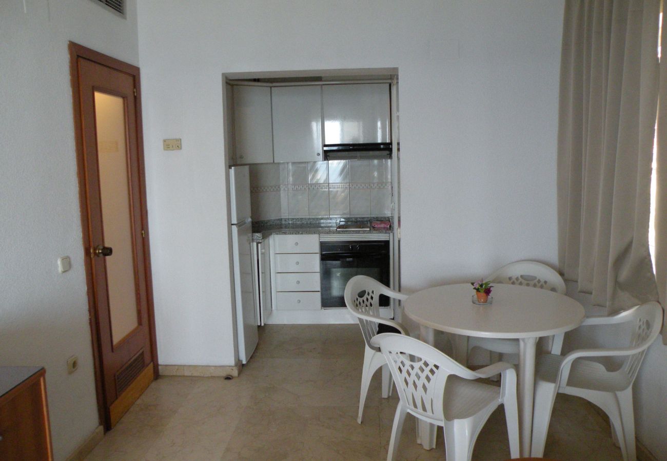 Appartement à Benidorm - TORRE LEVANTE (1 CHAMBRE)