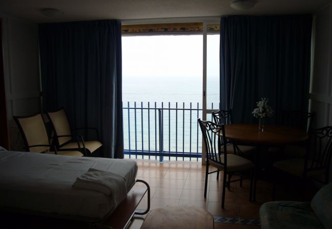 Studio à Benidorm - LAS PALMERAS (ESTUDIO) BENIDORM Studio à Benidorm - LAS PALMERAS (ESTUDIO) BENIDORM