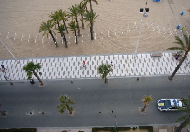 Studio à Benidorm - LAS PALMERAS (ESTUDIO) BENIDORM Studio à Benidorm - LAS PALMERAS (ESTUDIO) BENIDORM