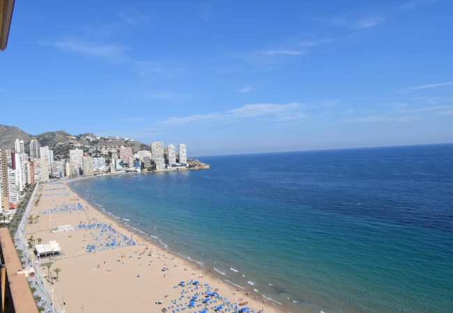 Appartement à Benidorm - PRINCIPADO ARENA (3 CHAMBRES) Appartement à Benidorm - PRINCIPADO ARENA (3 CHAMBRES)