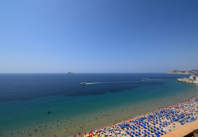 Appartement à Benidorm - PRINCIPADO ARENA (3 CHAMBRES) Appartement à Benidorm - PRINCIPADO ARENA (3 CHAMBRES)