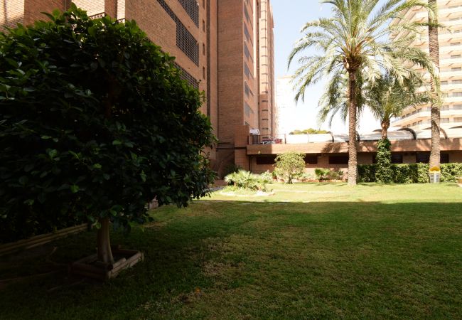 Appartement à Benidorm - PRINCIPADO ARENA (3 CHAMBRES)