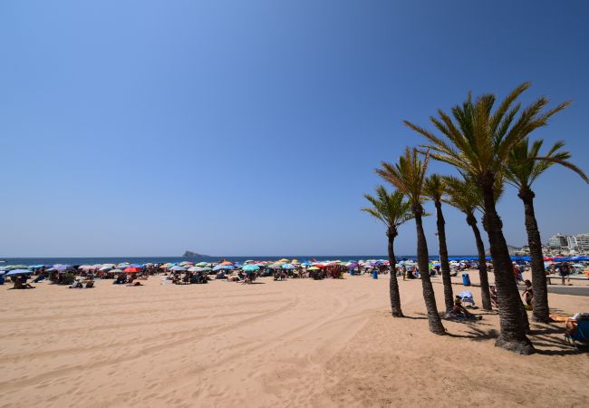 Appartement à Benidorm - PRINCIPADO ARENA (3 CHAMBRES) Appartement à Benidorm - PRINCIPADO ARENA (3 CHAMBRES)