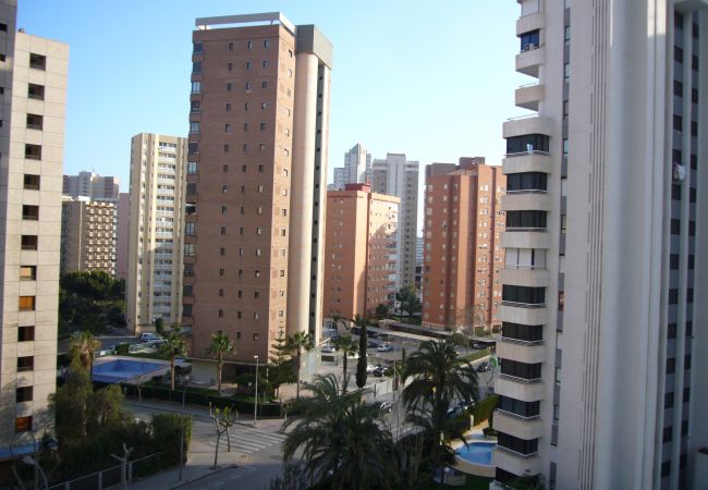 Appartement à Benidorm - PARQUE EUROPA (1 CHAMBRE) Appartement à Benidorm - PARQUE EUROPA (1 CHAMBRE)