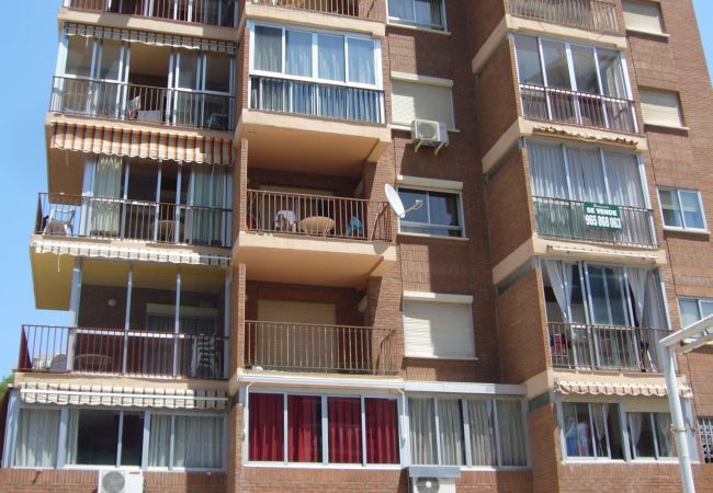 Appartement à Benidorm - OCEAN 3 (2 CHAMBRES) BENIDORM Appartement à Benidorm - OCEAN 3 (2 CHAMBRES) BENIDORM