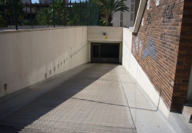 Appartement à Benidorm - LA PINTA (1 CHAMBRE) BENIDORM Appartement à Benidorm - LA PINTA (1 CHAMBRE) BENIDORM