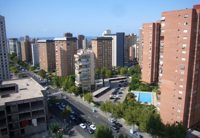Appartement à Benidorm - LA PINTA (1 CHAMBRE) BENIDORM Appartement à Benidorm - LA PINTA (1 CHAMBRE) BENIDORM
