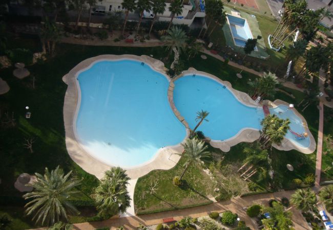 Appartement à Benidorm - GEMELOS 22 (1 CHAMBRE)