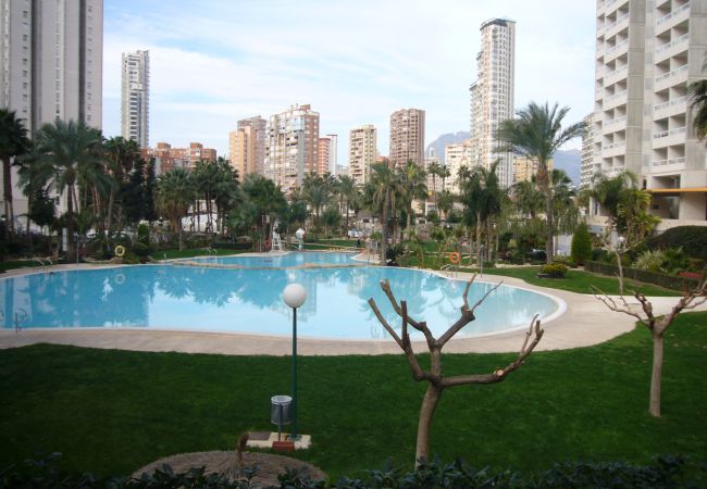 Appartement à Benidorm - GEMELOS 22 (1 CHAMBRE) Appartement à Benidorm - GEMELOS 22 (1 CHAMBRE)