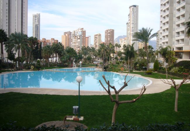 Appartement à Benidorm - GEMELOS 22 (1 CHAMBRE)