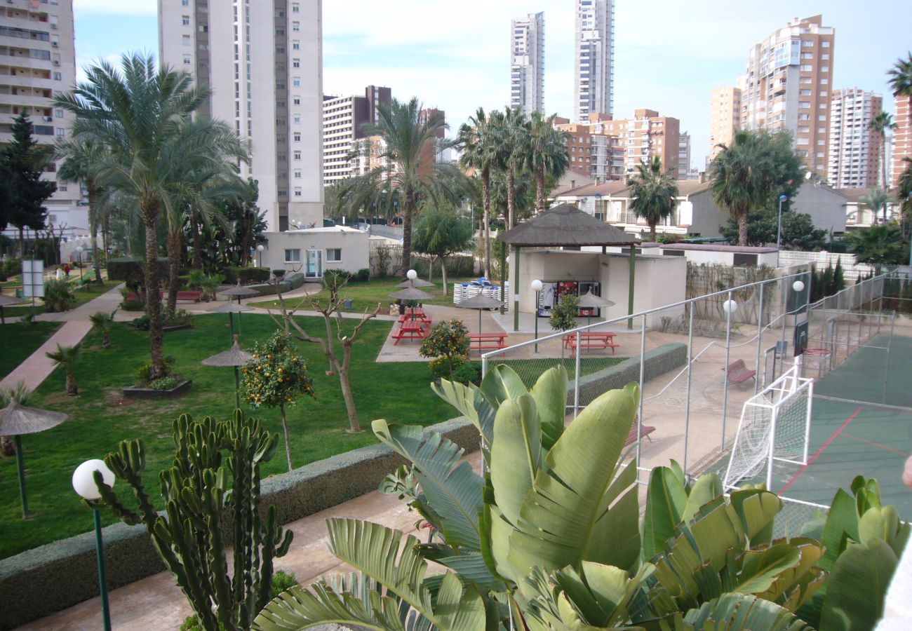 Appartement à Benidorm - GEMELOS 22 (1 CHAMBRE)