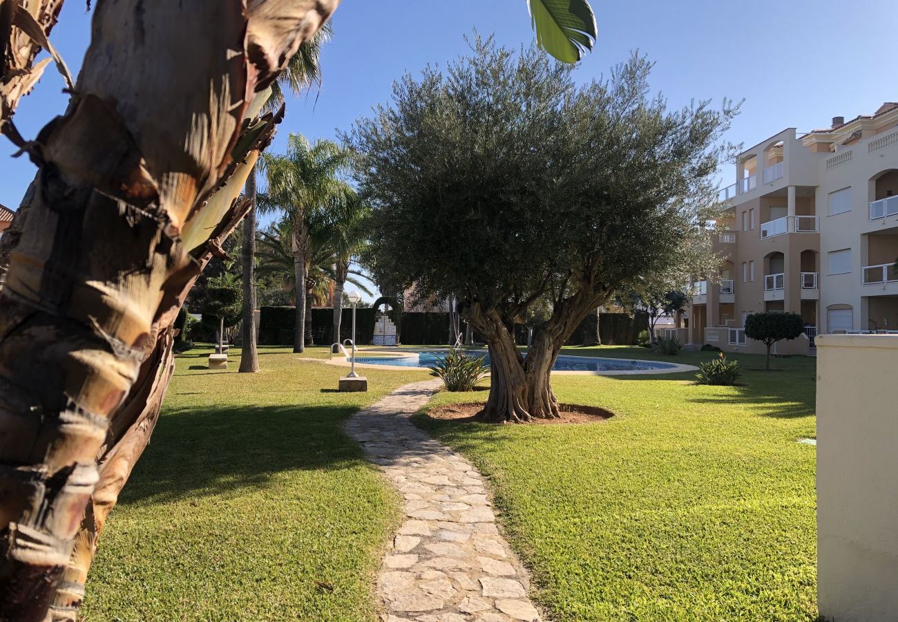 Appartement à Denia - Appartement spacieux dans l'urbanisation avec piscine et parking