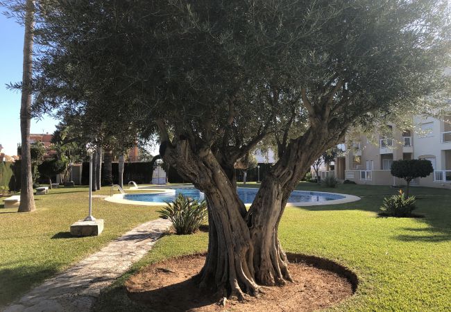 Appartement à Denia - L'appartement confortable Hort à 300 mètres de la plage Appartement à Denia - L'appartement confortable Hort à 300 mètres de la plage