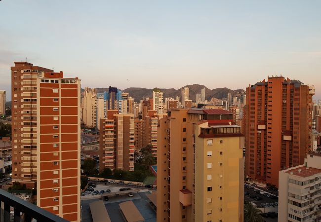 Appartement à Benidorm - ACACIAS 4 (1 CHAMBRE) Appartement à Benidorm - ACACIAS 4 (1 CHAMBRE)