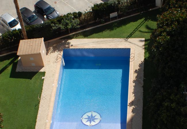  à Benidorm - ACACIAS 4 (1 CHAMBRE)