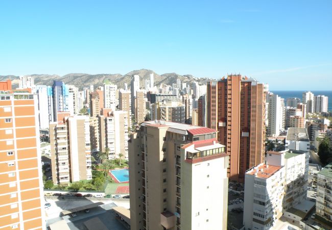 Appartement à Benidorm - ACACIAS 4 (1 CHAMBRE) Appartement à Benidorm - ACACIAS 4 (1 CHAMBRE)