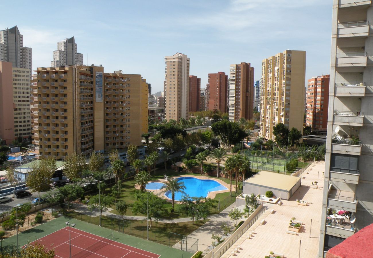 Appartement à Benidorm - GIJON (1 CHAMBRE) BENIDORM