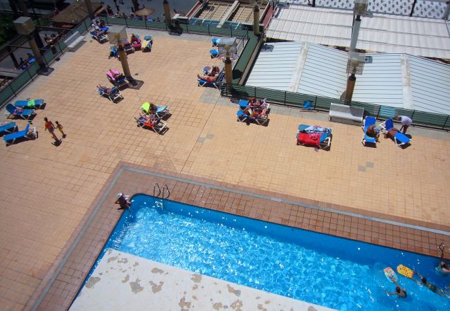 Studio à Benidorm - SANTA MARGARITA (ESTUDIO) Studio à Benidorm - SANTA MARGARITA (ESTUDIO)