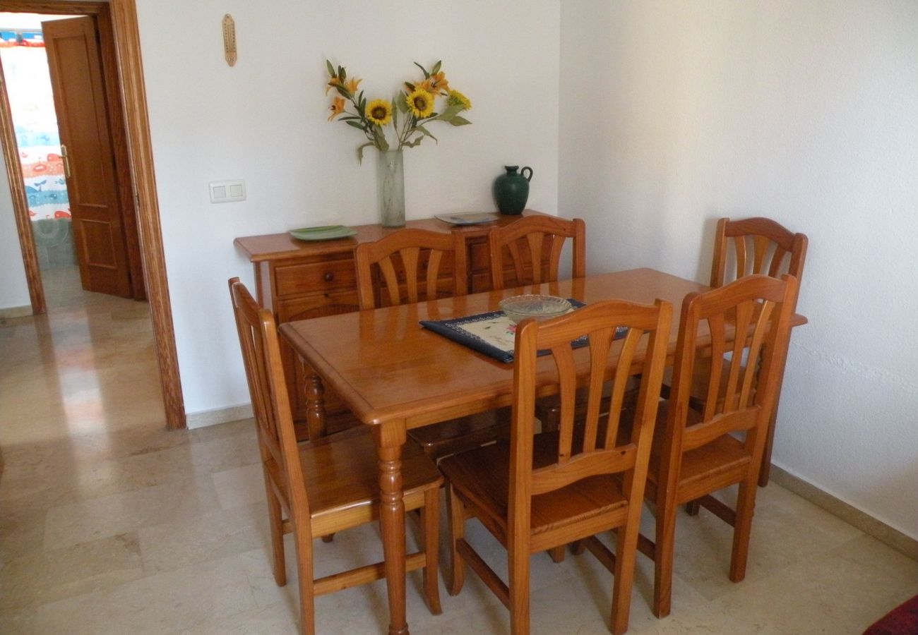 Appartement à Benidorm - KENNEDY 1 (2 CHAMBRES)