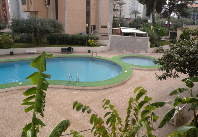 Appartement à Benidorm - KAROLA (1 CHAMBRE) BENIDORM Appartement à Benidorm - KAROLA (1 CHAMBRE) BENIDORM