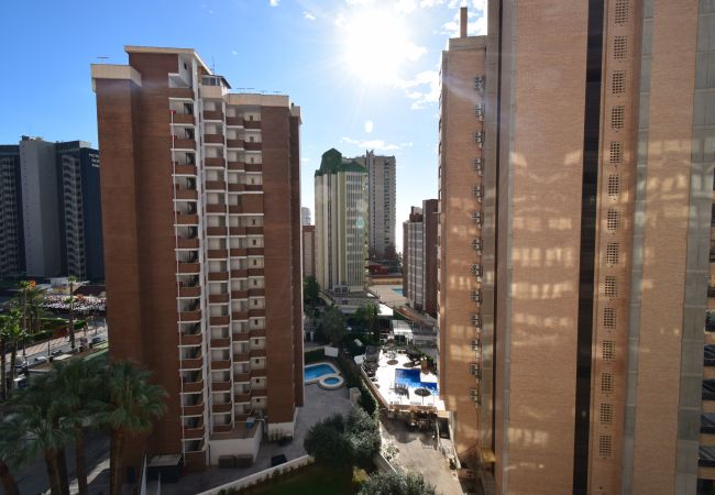 Appartement à Benidorm - KAROLA (1 CHAMBRE) BENIDORM Appartement à Benidorm - KAROLA (1 CHAMBRE) BENIDORM