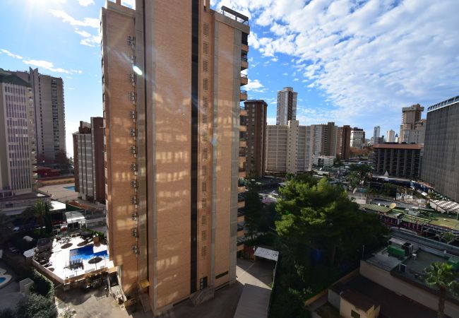 Appartement à Benidorm - KAROLA (1 CHAMBRE) BENIDORM Appartement à Benidorm - KAROLA (1 CHAMBRE) BENIDORM