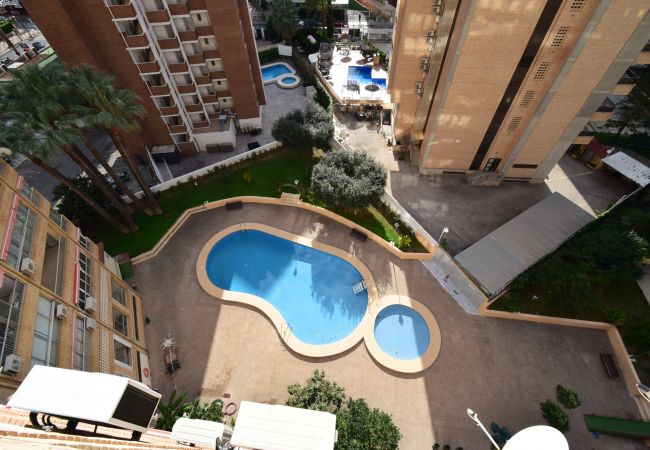 Appartement à Benidorm - KAROLA (1 CHAMBRE) BENIDORM Appartement à Benidorm - KAROLA (1 CHAMBRE) BENIDORM