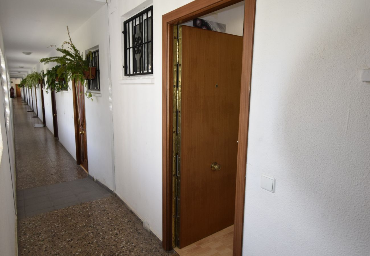 Appartement à Benidorm - COMERCIAL LEPANTO (1 CHAMBRE)