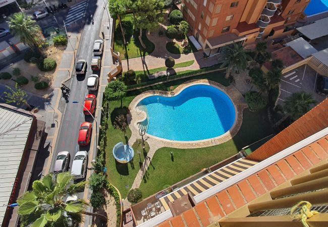 Appartement à Benidorm - LAS ADELFAS (2 CHAMBRES) Appartement à Benidorm - LAS ADELFAS (2 CHAMBRES)
