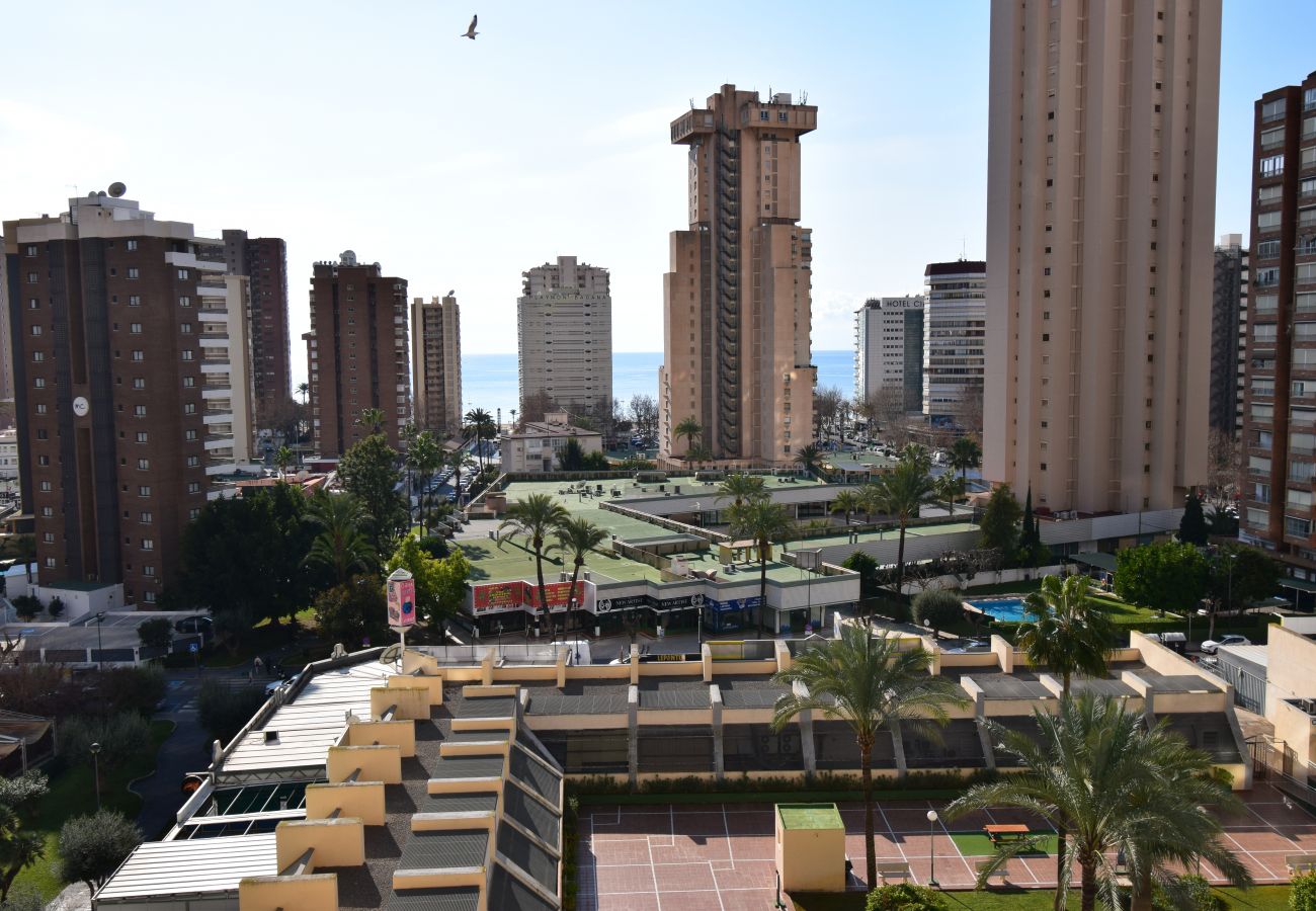 Appartement à Benidorm - GEMELOS 20 (1 CHAMBRE)