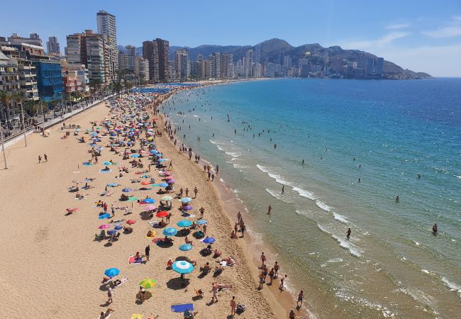 Appartement à Benidorm - LUX CENTER (3 CHAMBRES) Appartement à Benidorm - LUX CENTER (3 CHAMBRES)