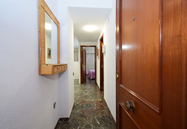 Appartement à Benidorm - BENIBEACH (1  CHAMBRE)