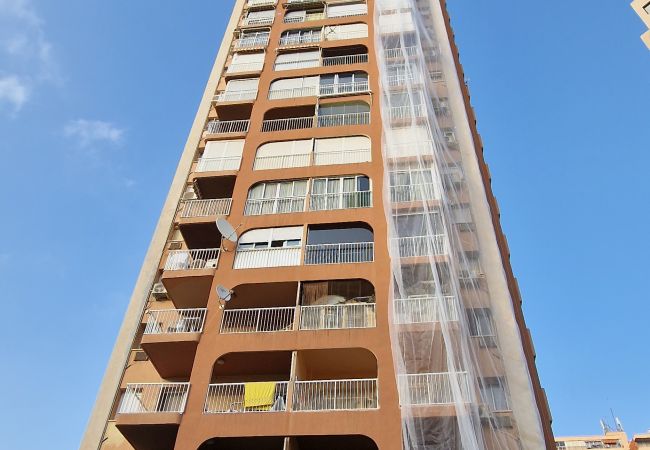 Appartement à Benidorm - DON PACO  (2 CHAMBRES) Appartement à Benidorm - DON PACO  (2 CHAMBRES)