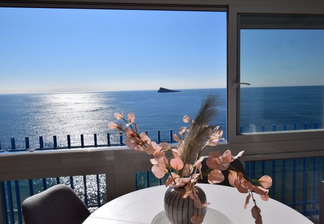 Appartement à Benidorm - PALMERAS (1 DORMITORIO) SANS TERRASSE Appartement à Benidorm - PALMERAS (1 DORMITORIO) SANS TERRASSE