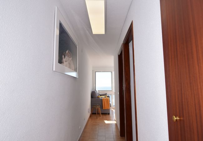 Appartement à Benidorm - PALMERAS (1 DORMITORIO) SANS TERRASSE Appartement à Benidorm - PALMERAS (1 DORMITORIO) SANS TERRASSE