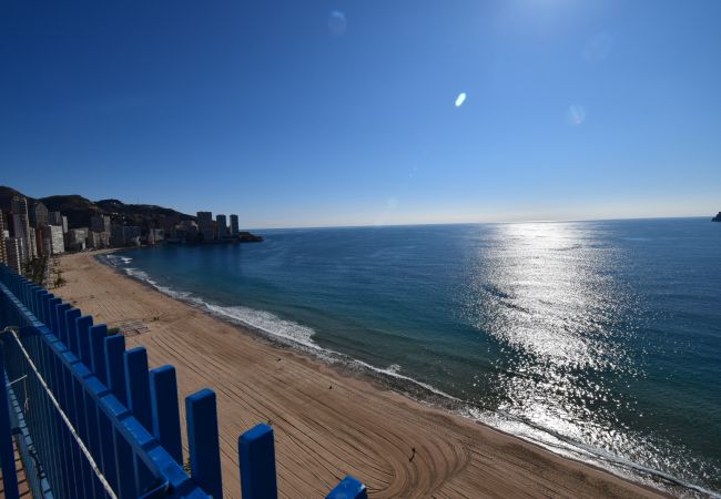 Appartement à Benidorm - PALMERAS (1 DORMITORIO) SANS TERRASSE