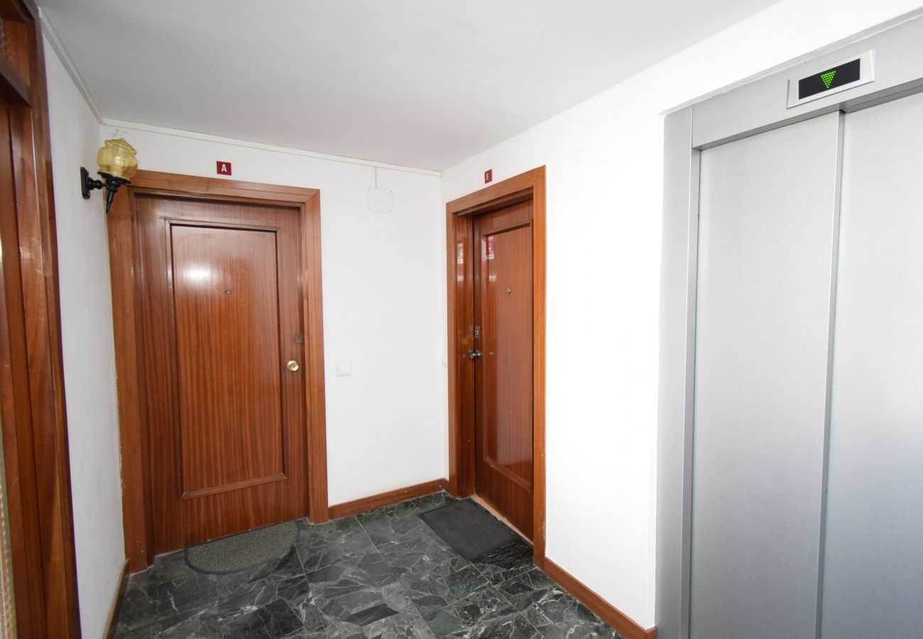 Appartement à Benidorm - PALMERAS (1 DORMITORIO) SANS TERRASSE