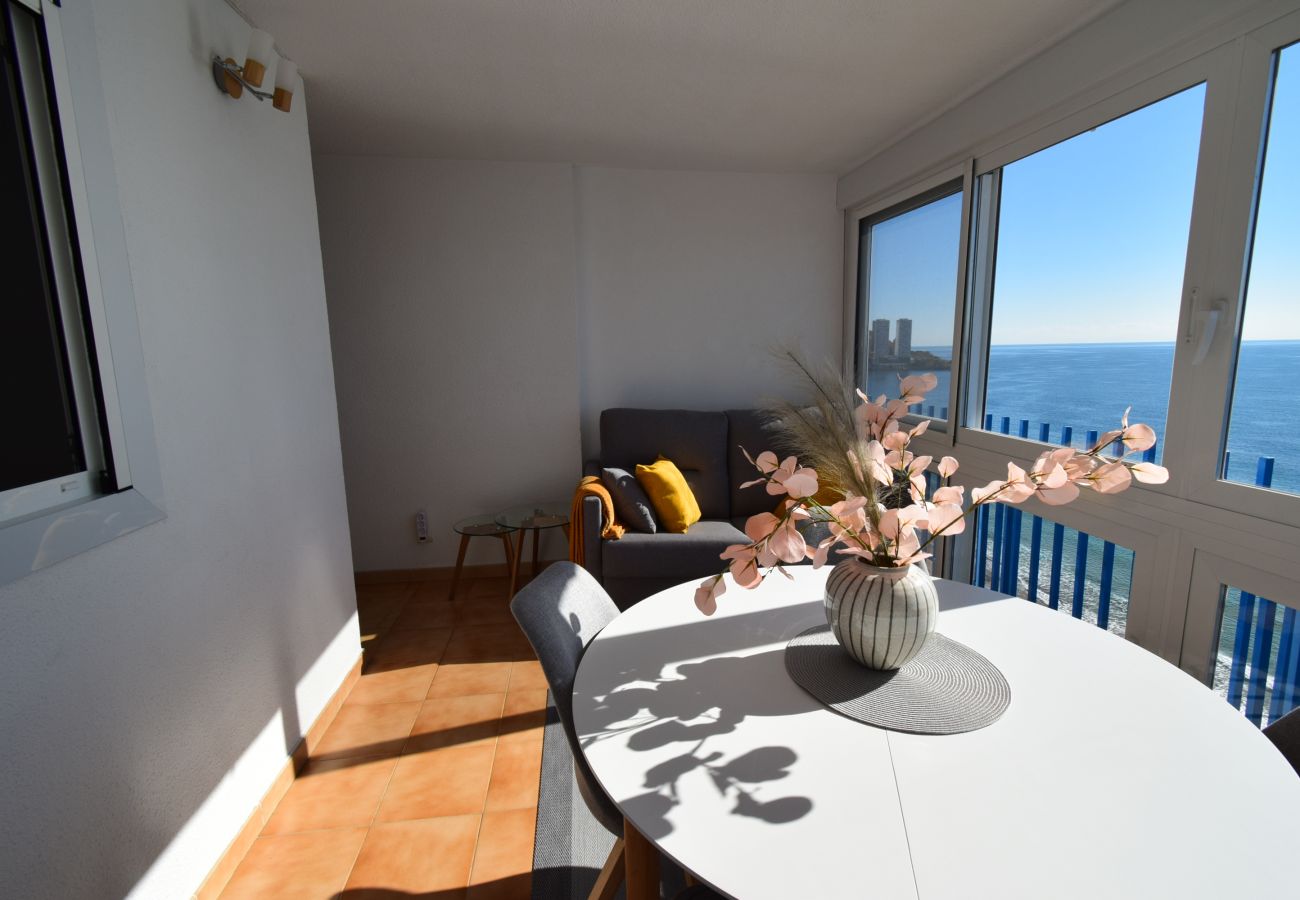 Appartement à Benidorm - PALMERAS (1 DORMITORIO) SANS TERRASSE