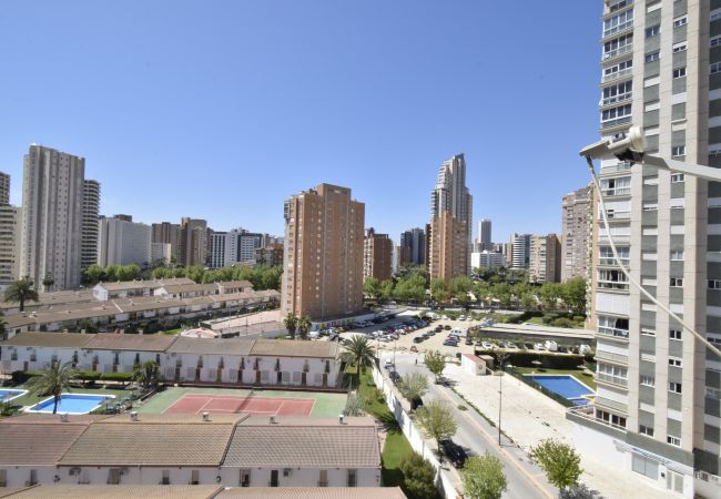 Appartement à Benidorm - MARISCAL 6 (1 CHAMBRE) Appartement à Benidorm - MARISCAL 6 (1 CHAMBRE)